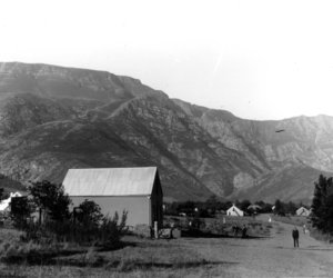 Herbert Vigne - The Father of Greyton